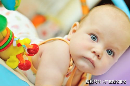 2026年属兔宝宝大气名字有哪些？能否推荐一些？