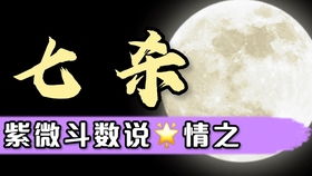 四．负债承受力（案例三）: