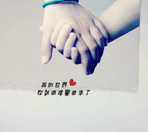 测试最终还是结果是解析
