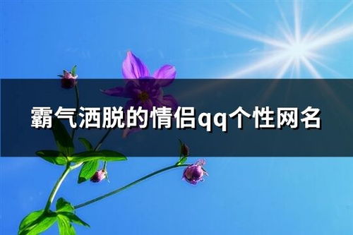 生肖星座风水结合：多维度的个性化构建
