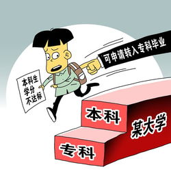 和合术实施过程中的关键要素