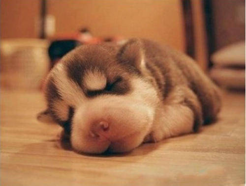 1994年属狗的人2026年开工吉日和出行吉日分别是哪天？