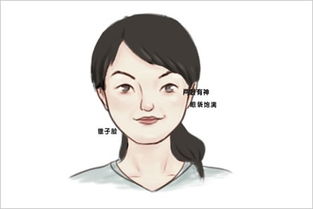 耳垂结实：谨慎求胜与巧妙周旋