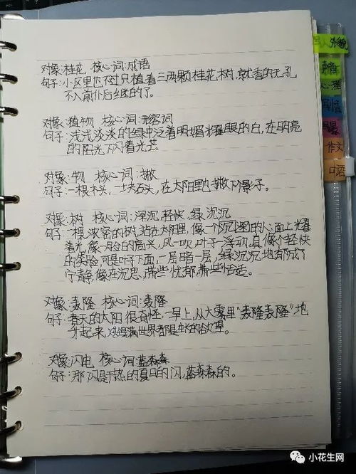 读书真的讲究风水，这其中的奥秘和讲究有哪些呢？