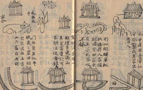 妇孺皆知的生肖是哪个？