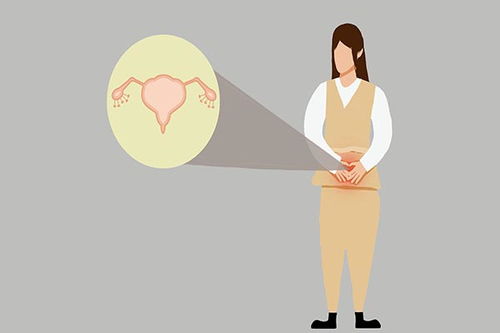 三、甲状腺与子宫的默契失调