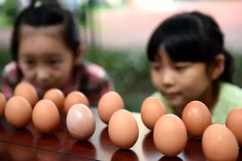 三、 营养学视角下的鸡蛋健康价值