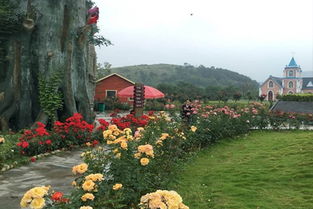 门票：贵得让你怀疑人生