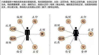 如何免费使用易百查四柱排盘进行八字命理学分析？
