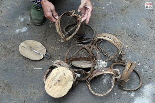 梦见腿被夹子夹住后放开，这预示着什么好事发生？