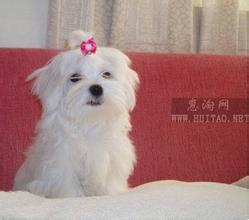 创意十足的名字