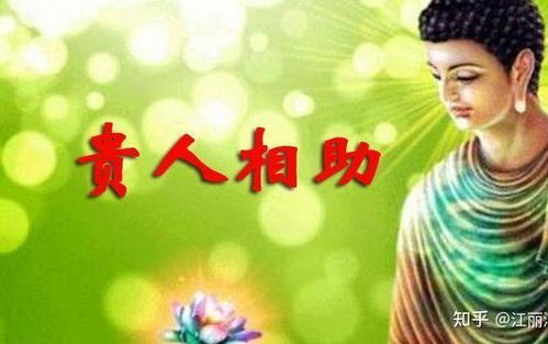 那些被星星砸中的幸运儿们