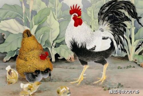 自信与坚定意志