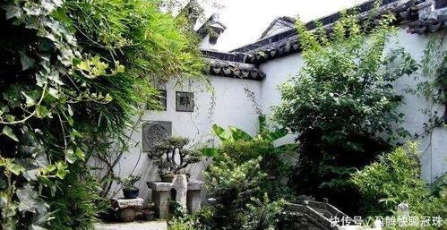 四、 防止“冲击”现象并通过柔化手段加以调和