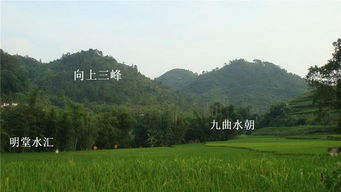 风水墓地如何判断午峰高 子山午向的准确性？