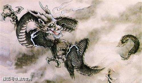 属龙2026年换大运增土运势好吗？