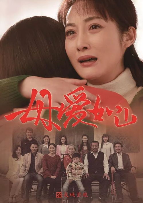 案例分析：李婷婷事件中的生存困境