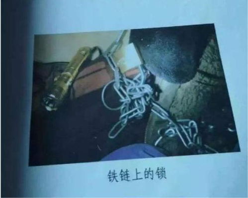 成语的出处与解释
