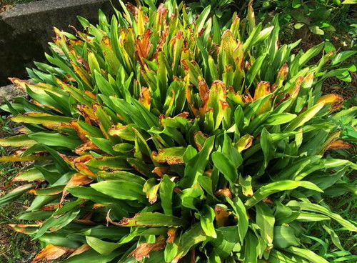 一、 研究背景与意义