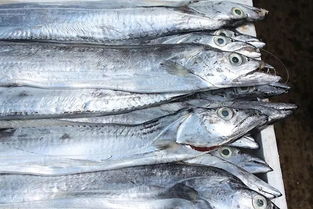 第二章：交通？腿着去吧！