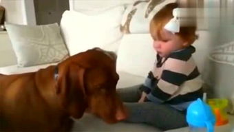 色气男主播之独门网名及其潜在含义探析