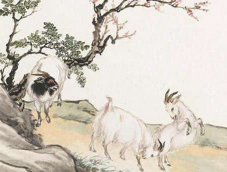 哪个生肖的人经验丰富，贵人不断？