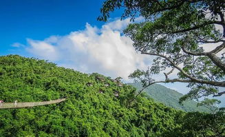 先说说咱们得搞清楚这是个啥地方