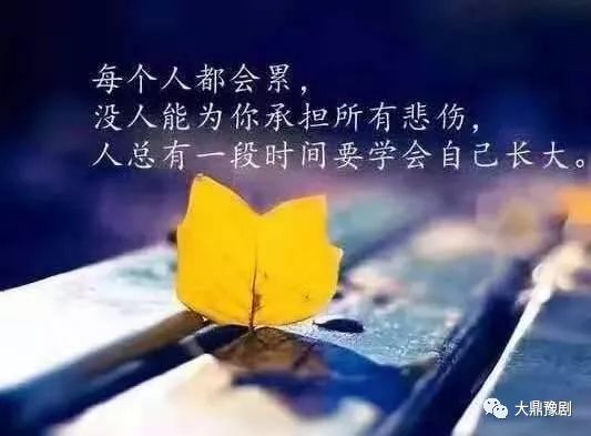 ‘可惜之命’具体指哪些人？‘可惜之人必有可恨之处’这句话又是什么意思？