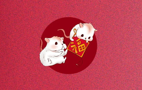 一、  生肖兔：温婉气场与红鸾星动的共振效应