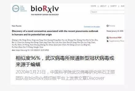 一、序言：命运的镜像与宿命的谶语