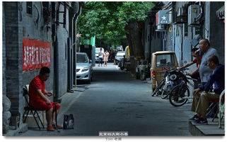 大街小巷代表哪个生肖的象征意义？