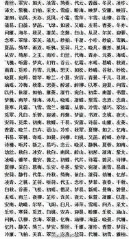 1.1 基于生辰八字的五行调和法