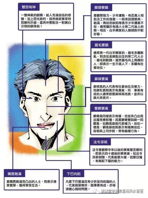 四、金木交战：神经系统与头部身体健康状况