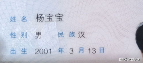搞笑两字的运用