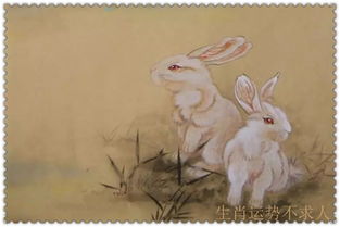 属兔人11月底运势详解具体包括哪些内容？