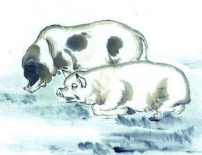 女属猪男属龙婚姻如何？女儿属龙儿子属猪的婚姻是否和谐？