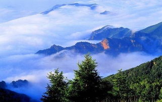 六里坪森林公园的“原始森林”探险