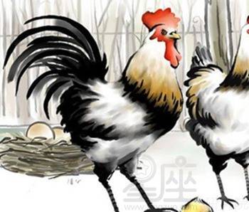 属鸡各月生人命运详解大全具体内容是什么？