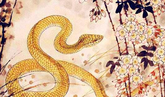 事业持续发展：挑战、 机遇及对应策略