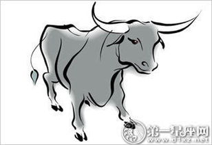 （二）生肖牛：稳重气场与土元素的强化