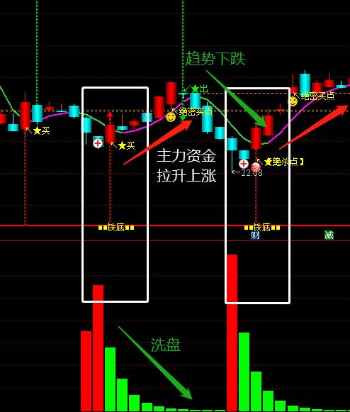 年柱：根基与职业倾向之起点