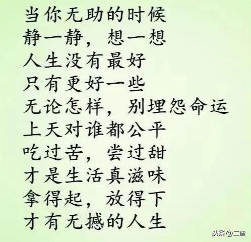 三、  情感体验的不可替代性与生命境界的升华