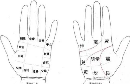 一、 手相学的起源与发展