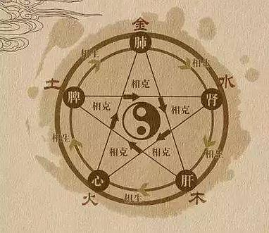八字中肝属木，肾属水，这种五行归属关系是怎样的？