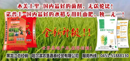 施用技术与注意事项：顺应天时的操作规范