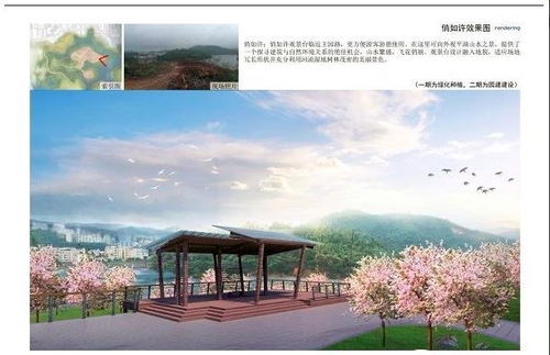 01 从军营到田野， 以自由之心创业（或着说是逃离现实）