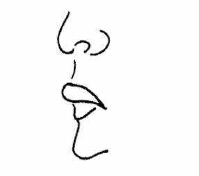 3. 特殊嘴型的警示与解读