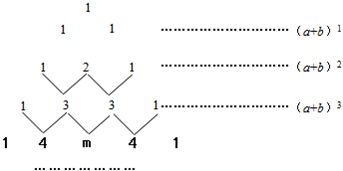 1．数字法则的基本结构