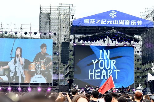 现场：2026年大型人类迷惑行为大赏