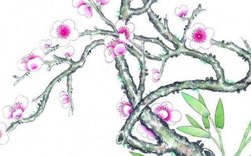 2026年属羊女性婚姻运势如何，会有哪些变化？